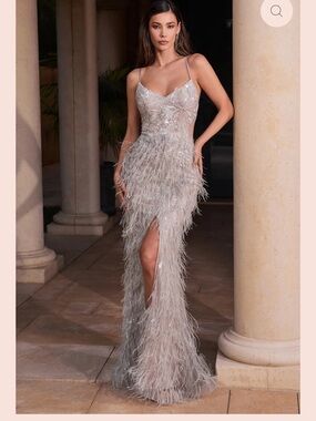 Sequin Feathered Party Dress in Silver